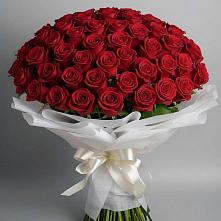 Букет 101 Красная роза Блэк Мэджик в Полесске