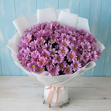 Букет цветов из:  Хризантемы #REPLACE_PRED# Полесске