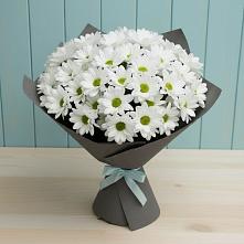 Букет цветов из:  Хризантемы в Полесске