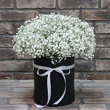 Цветочная композиция из Гипсофила в шляпной коробке в Полесске