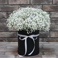 Цветочная композиция из Гипсофила в шляпной коробке в Полесске