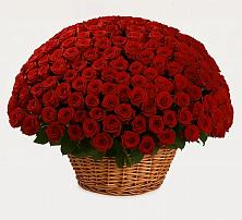 Премиум букет из: Розы в Полесске